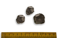 F 09286
          <br/>
          
          <br/>
          <em></em>